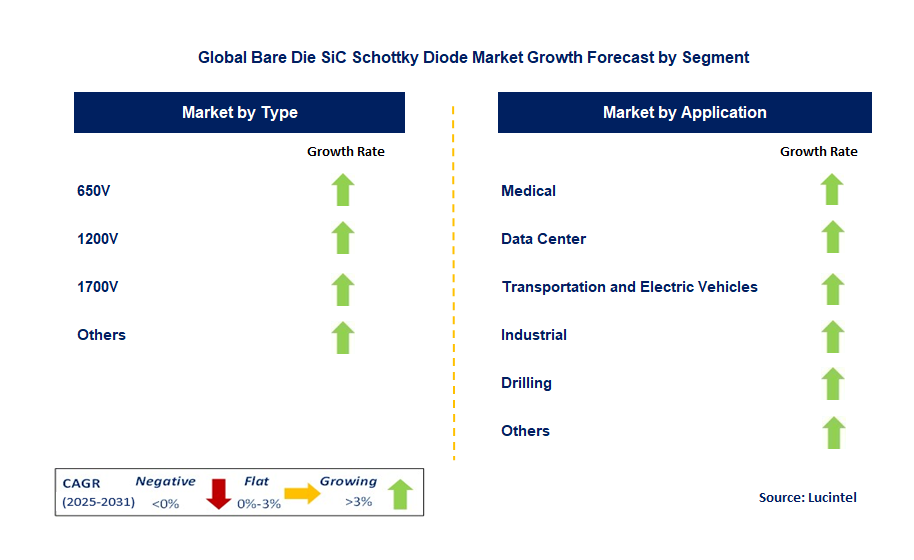Bare Die SiC Schottky Diode Market by Segment